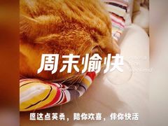 -三小姐咖啡店西餐下午茶(太平门直街店)