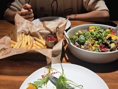-百好乐宠物友好餐厅(朝外大街店)