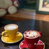 广州探店｜来一场森林风猫咖的约会吧