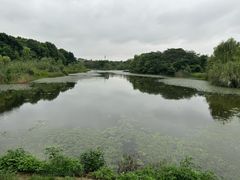 -白鹭湾湿地公园