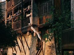 -边城茶峒景区