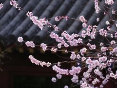 -北海公园