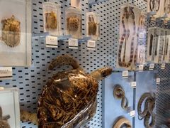 -浙江自然博物院(杭州馆)