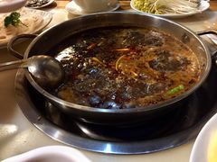 -蜀滋香鲜鱼美蛙火锅(339店)