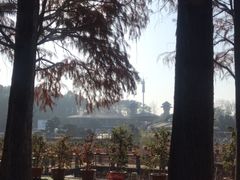 -东湖磨山景区
