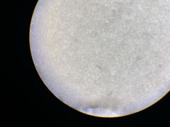 -上海吉涛生物科技有限公司