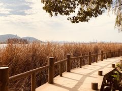 -东湖落雁景区