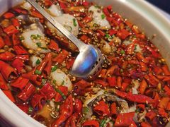 黑豆花水煮鱼-舞辣辣·川菜·黑豆花水煮鱼(卓悦汇店)