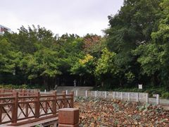 -南宁南湖公园