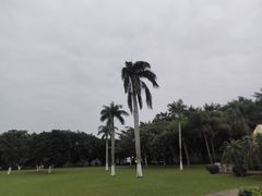 -万绿园