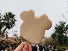 -迪士尼火鸡腿