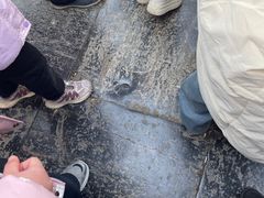 -赵州桥景区