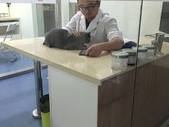 -仁普宠物诊所(住友昌盛新苑店)