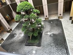 -外滩·云南人家(昆明旗舰店)