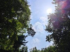 -北陵公园