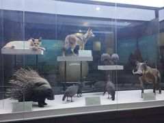 -国家自然博物馆