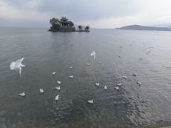 -小普陀