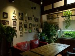 -百好乐宠物友好餐厅(朝外大街店)