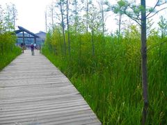 -溱湖国家湿地公园