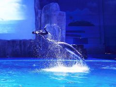 -华夏文旅海洋公园