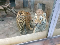 -西安秦岭野生动物园