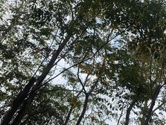 -东湖落雁景区