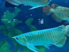 -弘安丽水温泉酒店