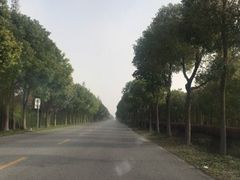 -安飞驰驾校·学车连锁(金高店)