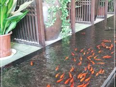 -毛家饭店·30年融合新湘菜(汉峪金谷店)