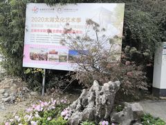 -鹅湖玫瑰文化园