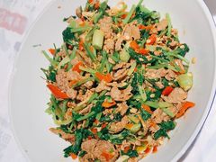 香菜炒牛肉-壹盏灯(蚂蚁工房店)