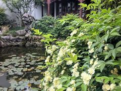 -苏州文旅花间堂·探花府酒店