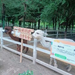 -优沃得自然教育农场·冰雪乐园·生日会·研学