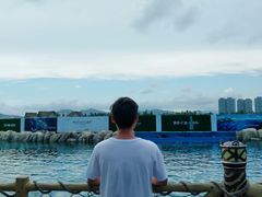 -三亚海昌梦幻海洋不夜城