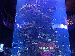 -青岛海尔洲际酒店