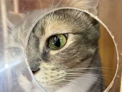 -多多茶餐厅(松风路店)