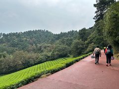 -敬亭山风景名胜区