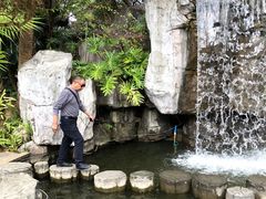 -广州市流溪河国家森林公园