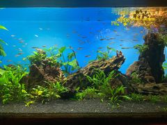 -太平洋海底世界