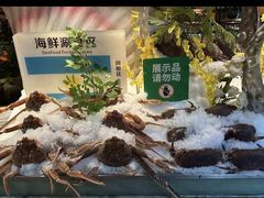 -亚马逊蒸汽活海鲜自助(LCM置汇旭辉广场店)