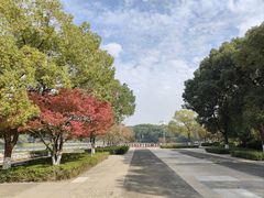 -圩墩遗址公园