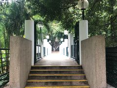 -九龙公园
