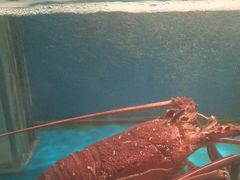 -太平洋PACIFIC SPA•奢睿水疗(万象城店)