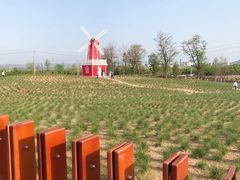 -羊亭河湿地公园