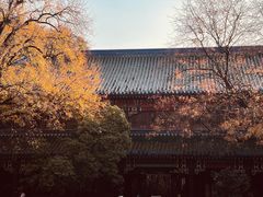 -灵谷景区
