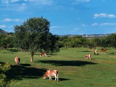 -塞罕坝国家级自然保护区