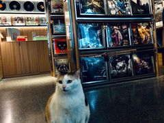 -黑胶星球(华发中城商都店)