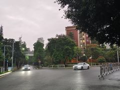 -南沙蒲洲花园