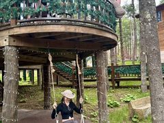 -洛阳白云山景区