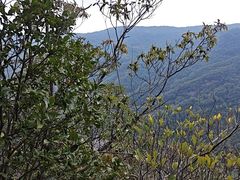 -雁荡山风景名胜区